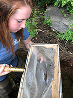 Water Quality Intern Vicki Trucksess. Photo by DRBC.