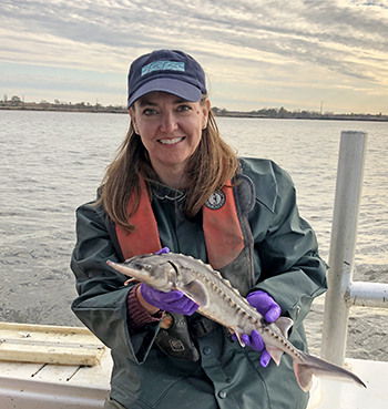 DRBC Deputy Executive Director Kristen Bowman Kavanagh with an Atlantic Stugeon. This activity was conducted under a NOAA National Marine Fisheries Service ESA Permit No. 19255-01, issued to Ian Park, Fisheries Biologist, DNREC- Division of Fish and Wildlife.