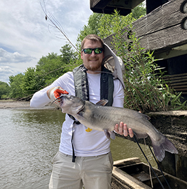 Catfish caught by DRBC staff.