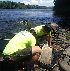 DRBC staff then pick, identify and count how many macroinvertebrates were found.