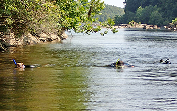 DRBC staff surveying for freshwater mussels. Photo by DRBC.