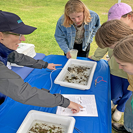DRBC staff show a display of macroinvertebrates to festival attendees. Photo by the DRBC.