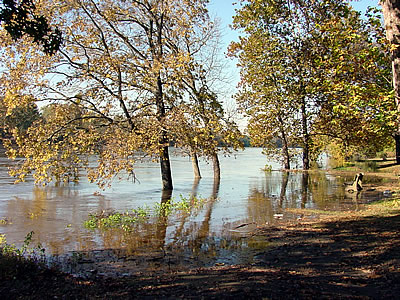 The Delaware River Over its Bank at Washington Crossing State Park, N.J. (11:48 a.m. on Oct. 30, 2003).  Following very heavy rainfall throughout the watershed, the river was flowing at 79,000 cubic feet per second (cfs) as recorded by the U.S. Geological Survey (USGS) stream gage in nearby Trenton at 12:15 p.m. The mean flow for this date is 7,326 cfs.