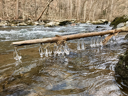 Frozen Stemware on the Flat Brook by Evan Kwityn.