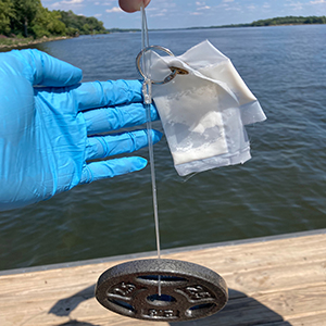 SPATT bags about to be deplaoyed in the Delaware River. Photo by the DRBC.