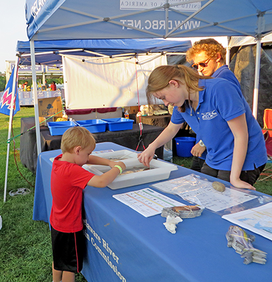DRBC Basin Outreach Intern Meg Ruggles helps a festival attendee check out our aquatic bugs on display; fellow intern Alex Servis looks on. Photo by DRBC.