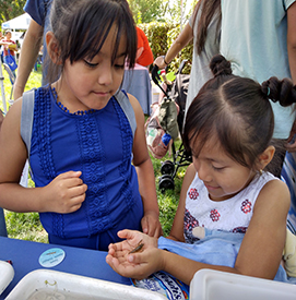 Kids enjoyed the opportunity to be able to find creatures in the trays and hold them for a closer look! Photo by the DRBC.