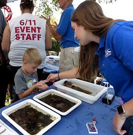 Kids enjoyed the opportunity to be able to find creatures in the trays and hold them for a closer look! Photo by the DRBC.