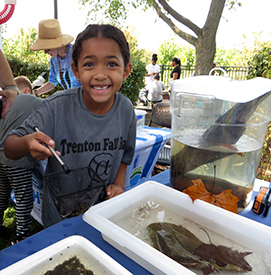 Kids enjoyed the opportunity to be able to find creatures in the trays. It's hard to see, but she "caught" a very large crayfish! Photo by the DRBC.