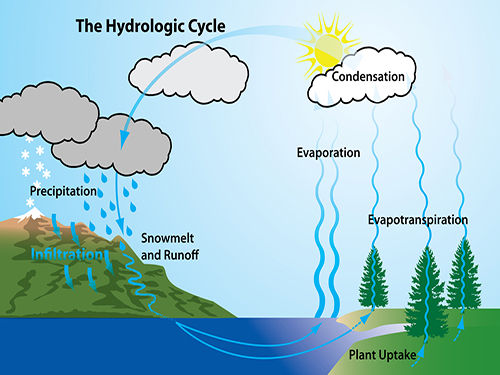 The Water Cycle.