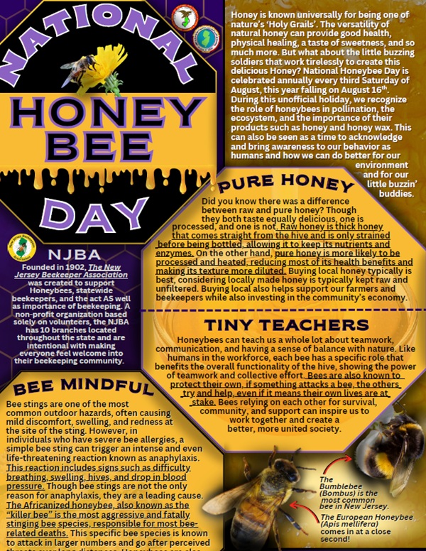 spotlight - Black History