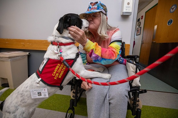 Veteran with a dog