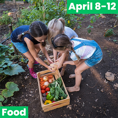 Three girls working in a vegetable garden