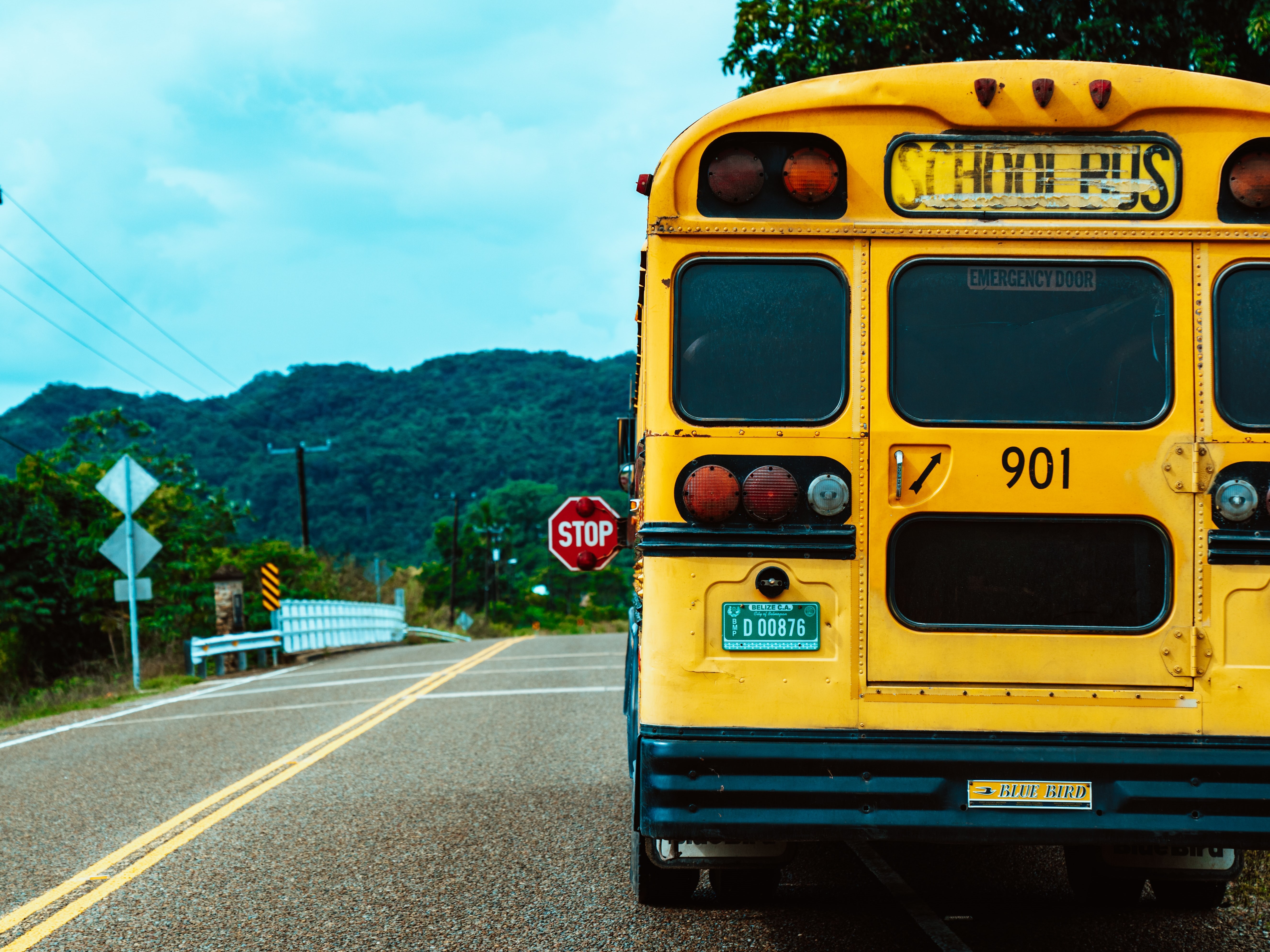 School bus traveling on a road