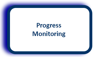 Progress Monitoring clickable box in NJTSS matrix