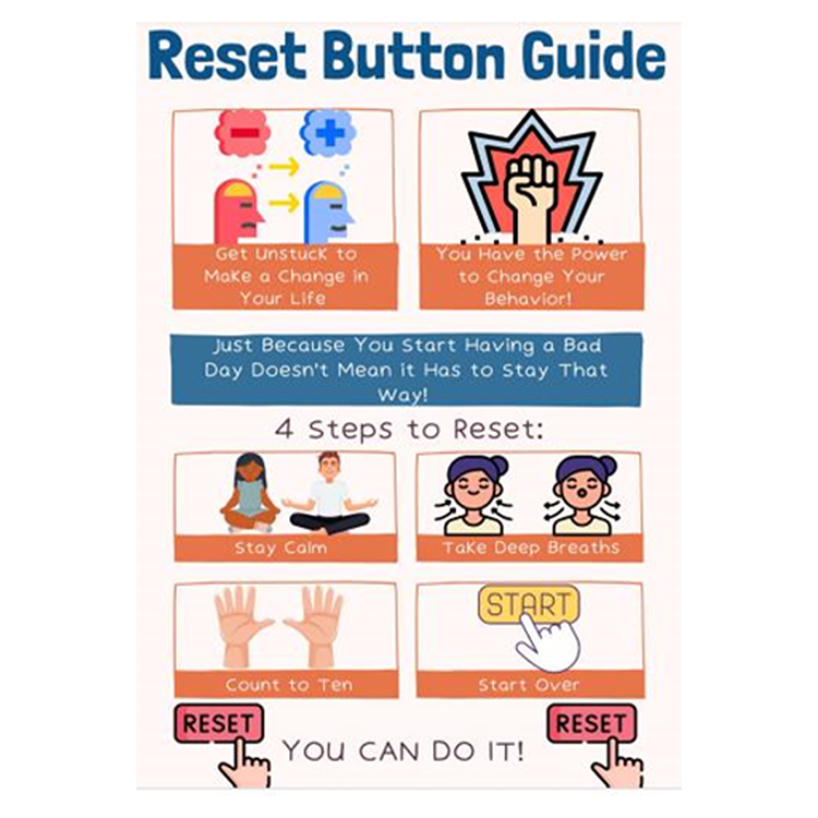 Guide explaining the steps of resetting.