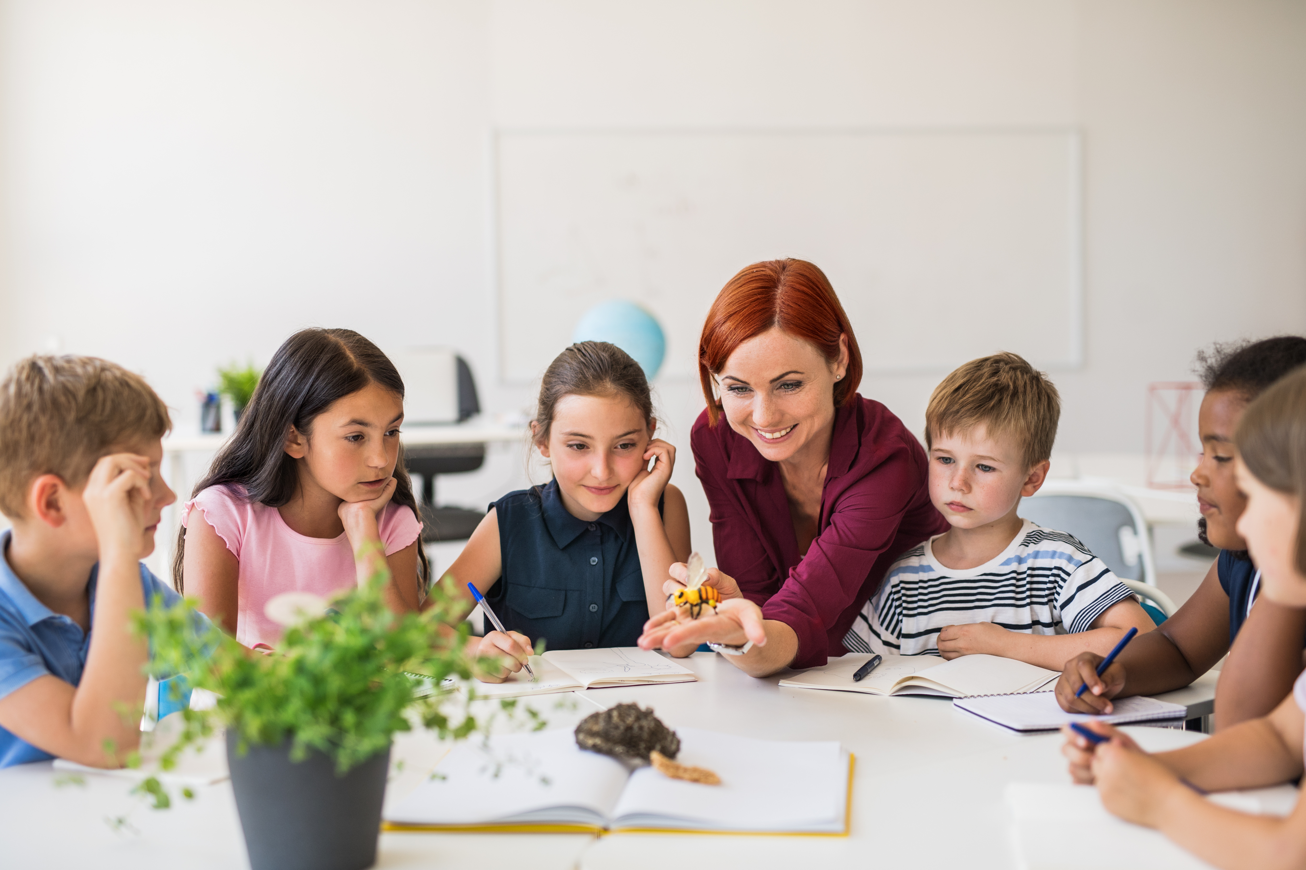 Elementary students sitting at a table with teacher discussing the life cycle.