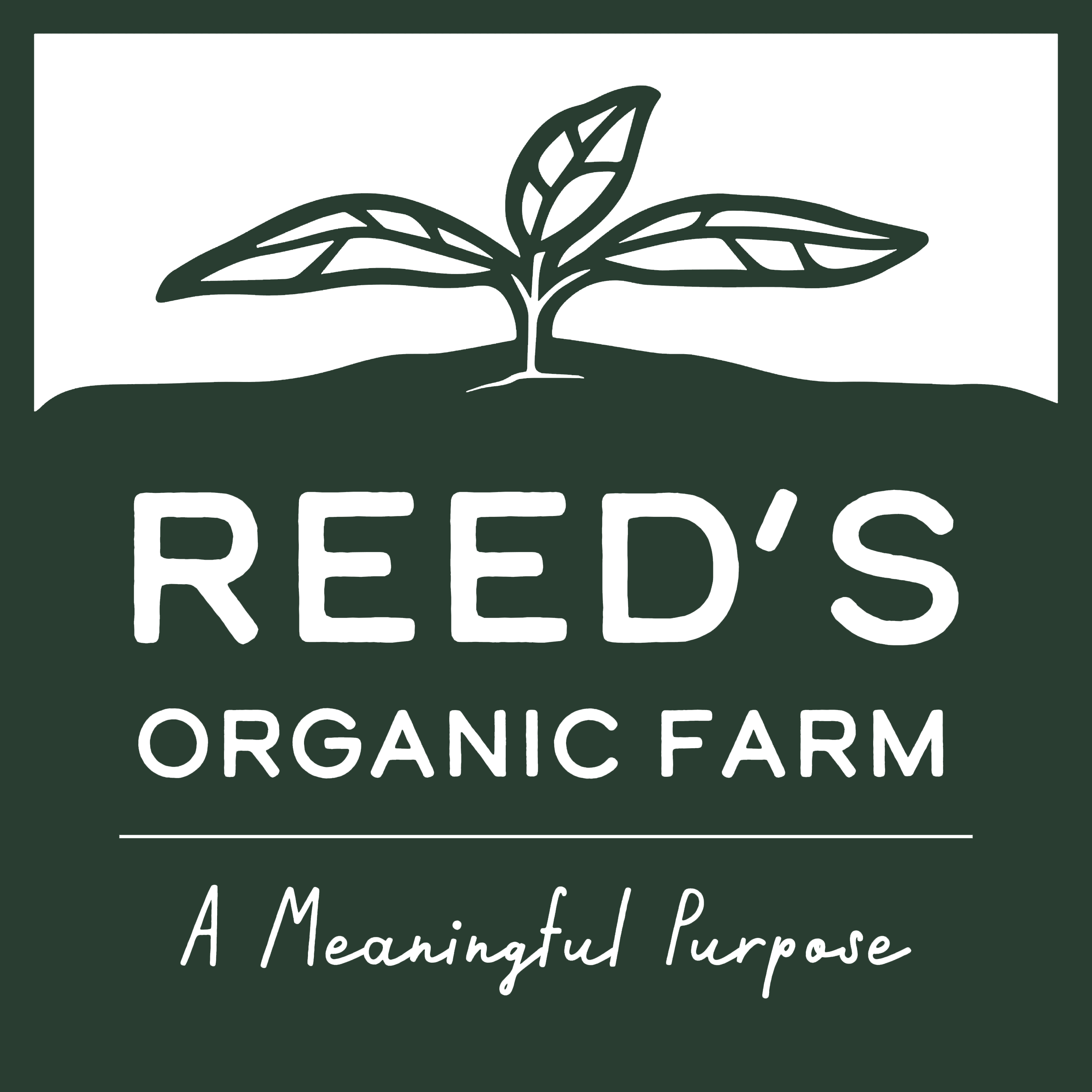 Reeds Organic Farm