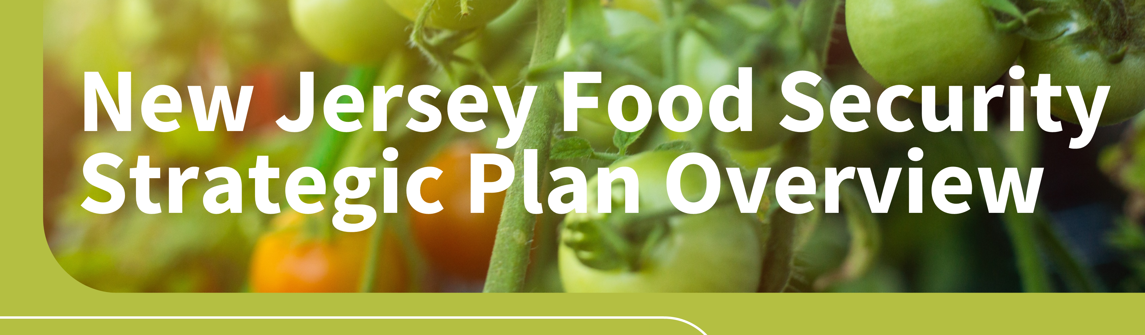 Strategic Plan for Food Security in New Jersey