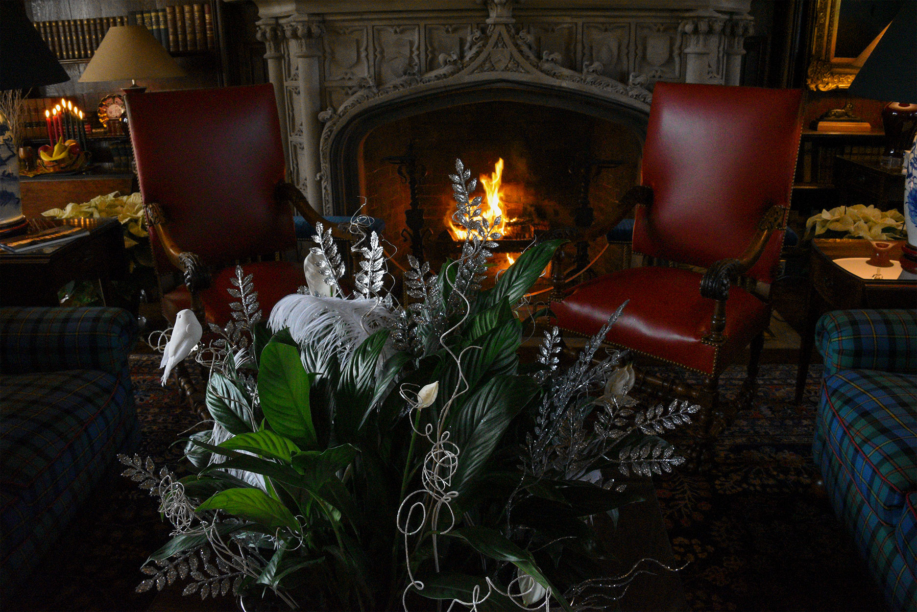A cozy fire framed by leather chairs in the Library with a centerpiece of white orchids and peace lilies in the foreground. Library Decor by the Allentown Garden Club.