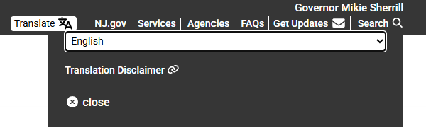 Use translate button on the top of the page and select language