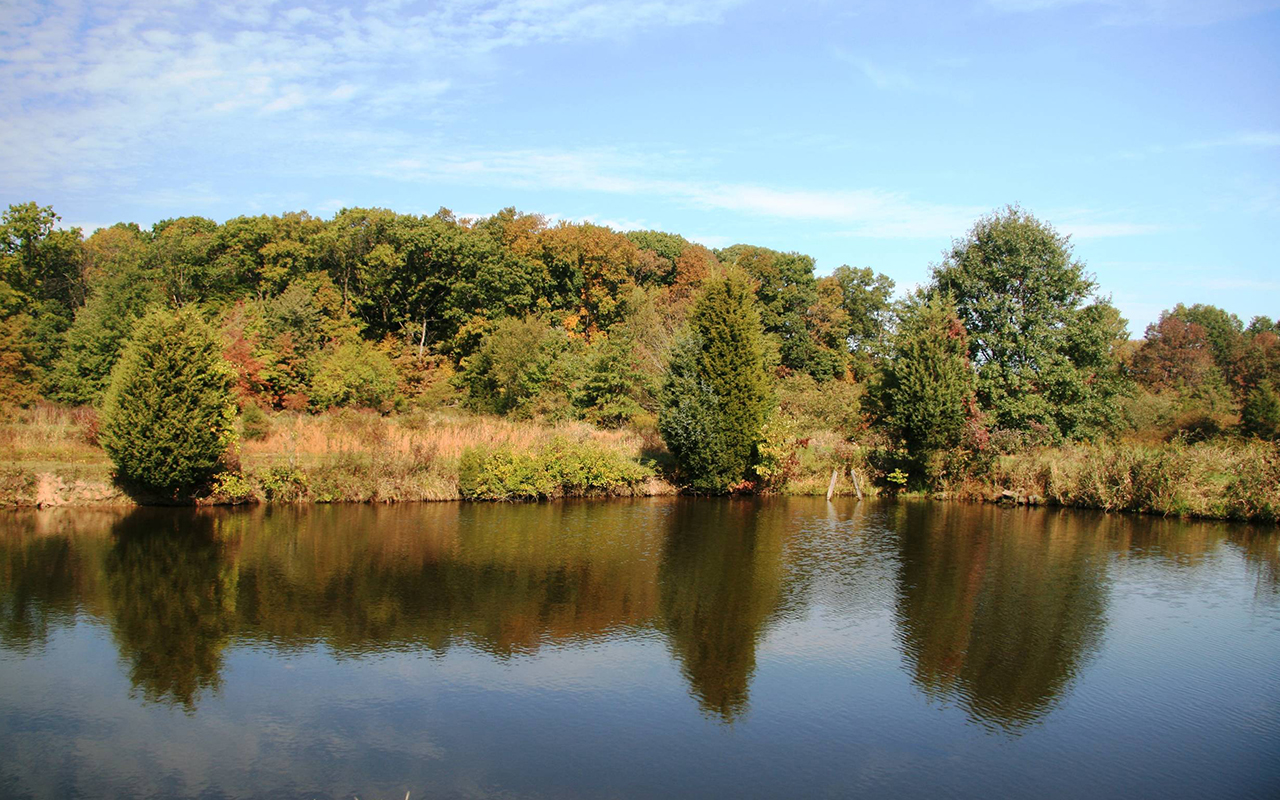 Former fish ponds at the Huey Preserve