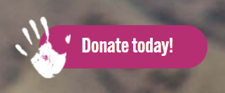 Donate