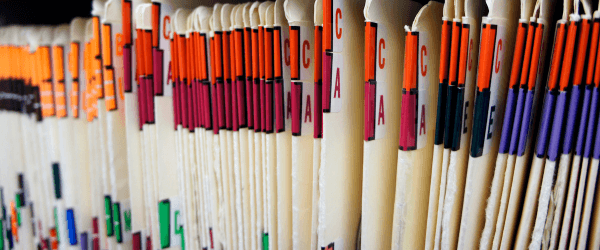 Records organized alphabetically and color coded.