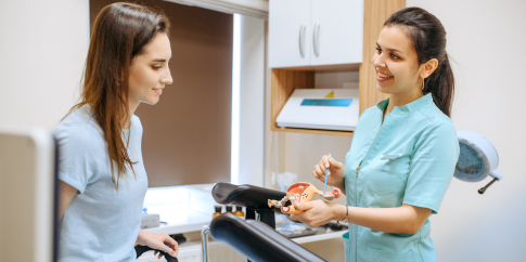 Gynecologist shows patient a model of the female reproductive system