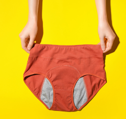 Period underwear