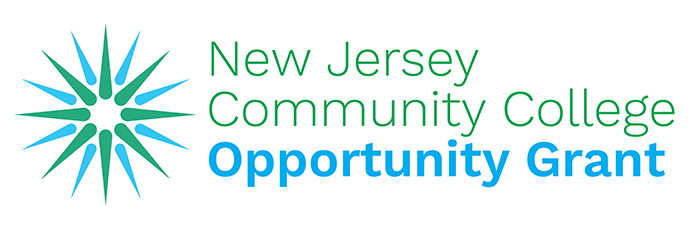 jersey college