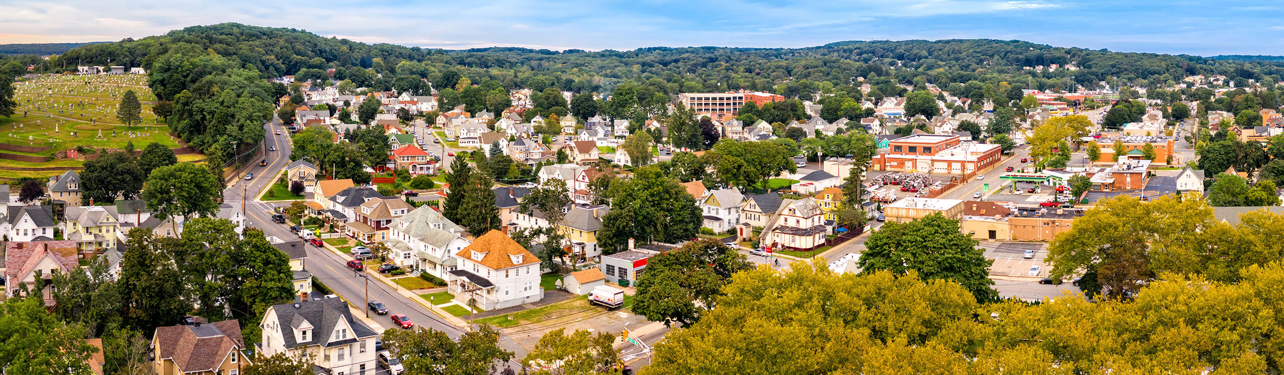 A wide shot of a community of houses and businesses