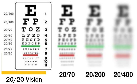 Department of Human Services - Commission for the Blind and Visually  Impaired