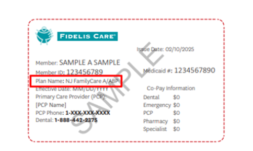 Member information is centered toward the left half of the card, and copay information is grouped on the right side. The red box appears in the upper-left to middle-left area of the card, directly beneath the member name and ID number.