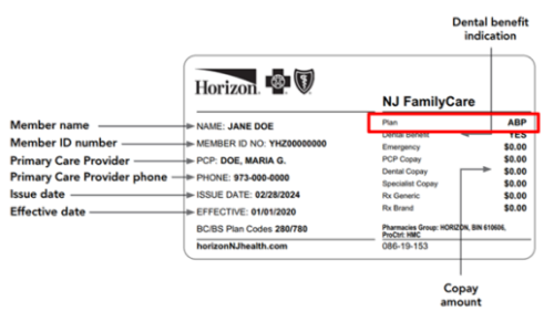 Member details are listed in lines across the left half of the card. The red box is located in the upper-right corner area, aligned with the “Plan” label. Inside that box, the plan is shown as “ABP.” 