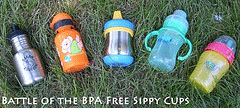 What Is BPA and Is BPA free plastic safe? Here Are The Facts – FLASKE