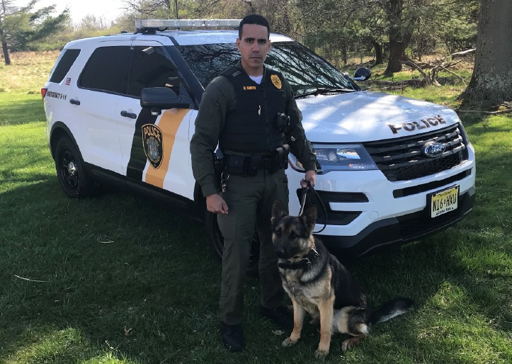 Picture of an Officer with a K9 Dog