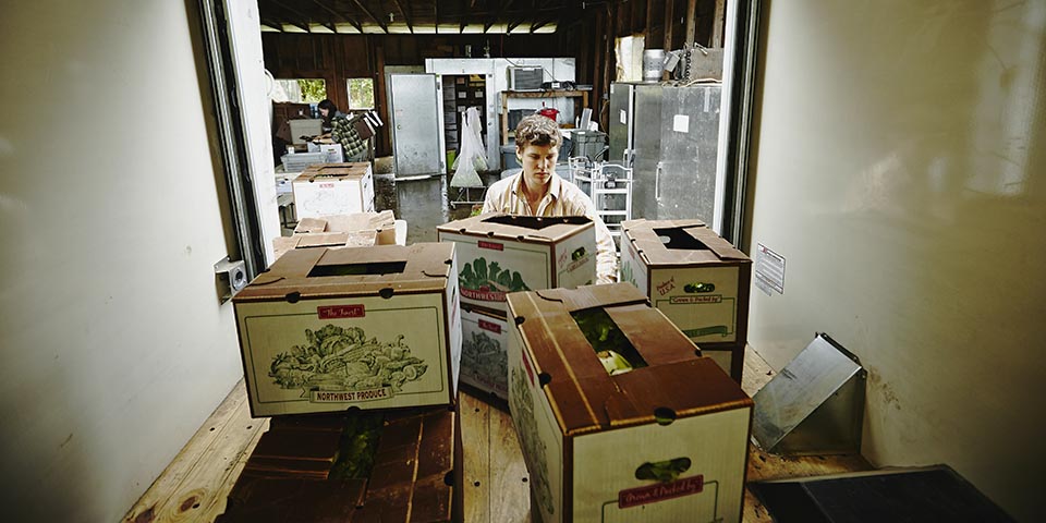 a man loading a produce truck on a farm