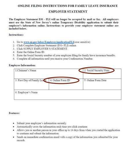 screenshot of the employer FLI online application