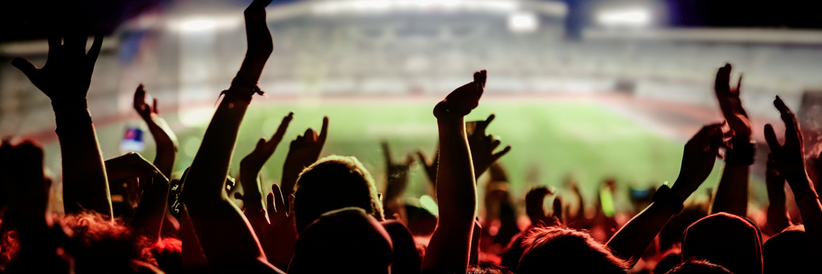 fans at soccer game
