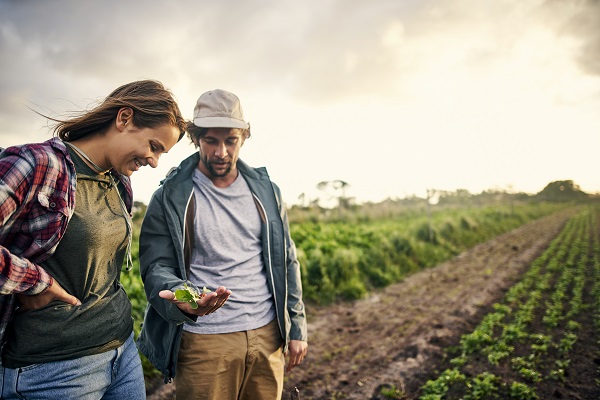 Man and woman inspecting crops on farm