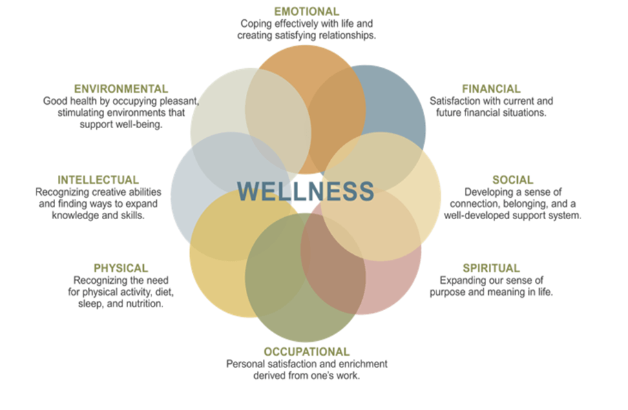 Welness circle that icludes: emotional, financial, social, spiritual, occupational, physics, intelectual, environmental