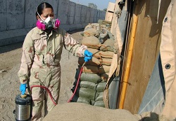 A soldier conducting pest management