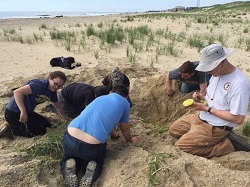 Interns remove invasive species of plants at a NJARNG site