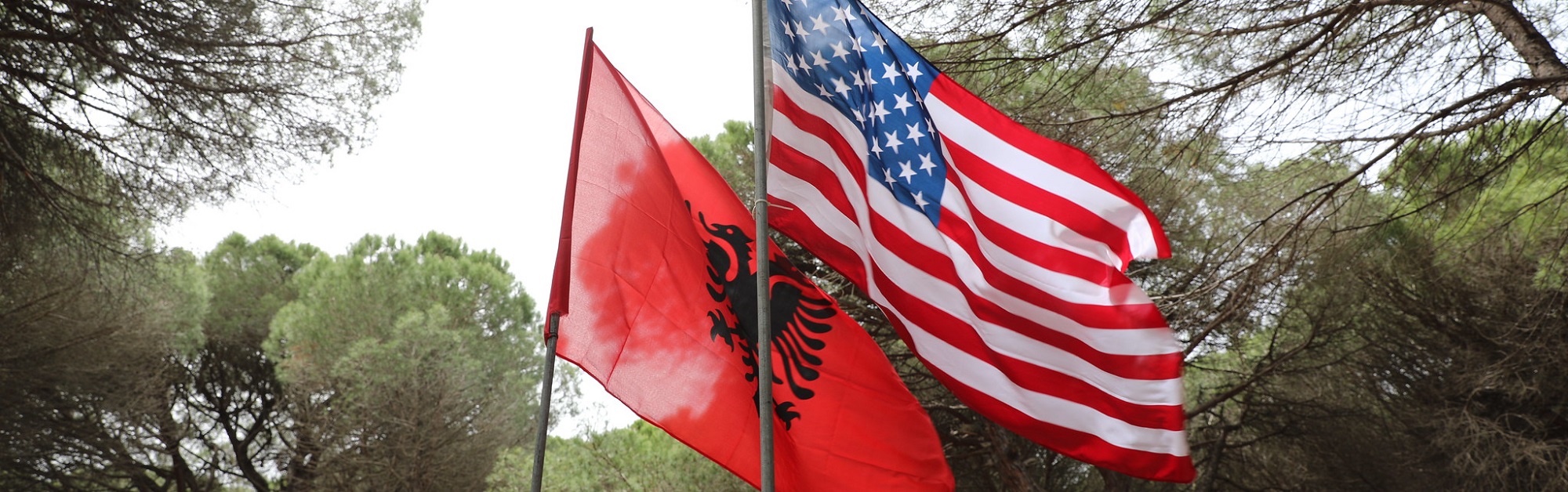 us and albania flags