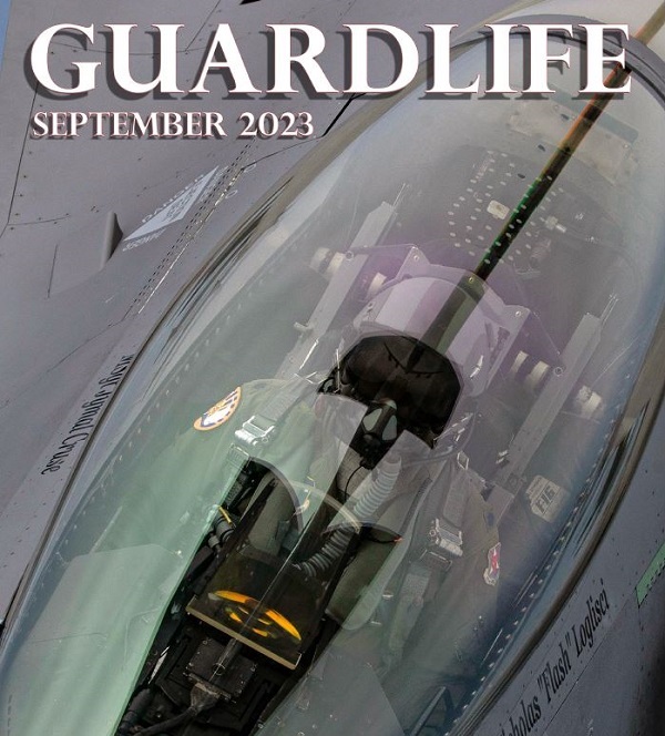 Guardlife 