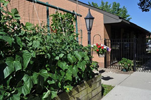 The Vegetable Garden at Paramus Veterans Home