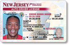 Vet License