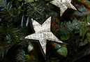 drumthwacket_38