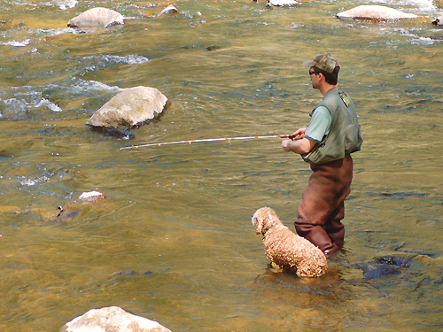 A man fly fishes as his dog sits by his side at Ken Lockwood Gorge, Hunterdon County